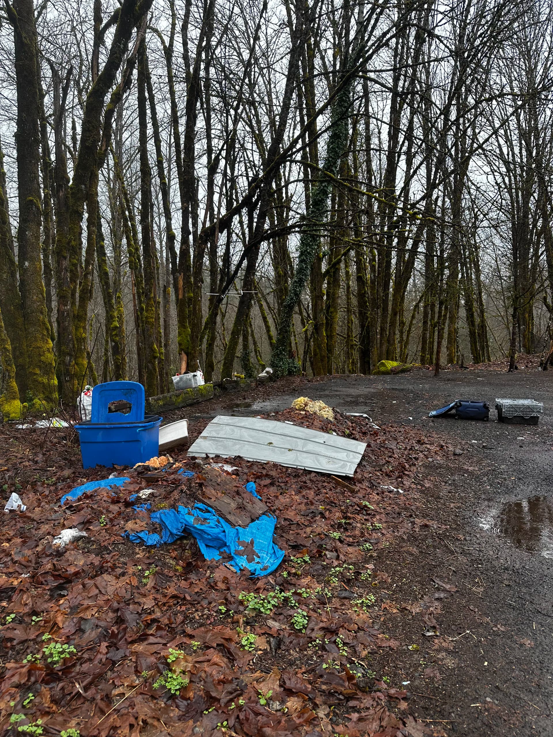 Gallery photos for Vacant Lot Cleanup in Idanha That Had a Few Surprises: Image #3