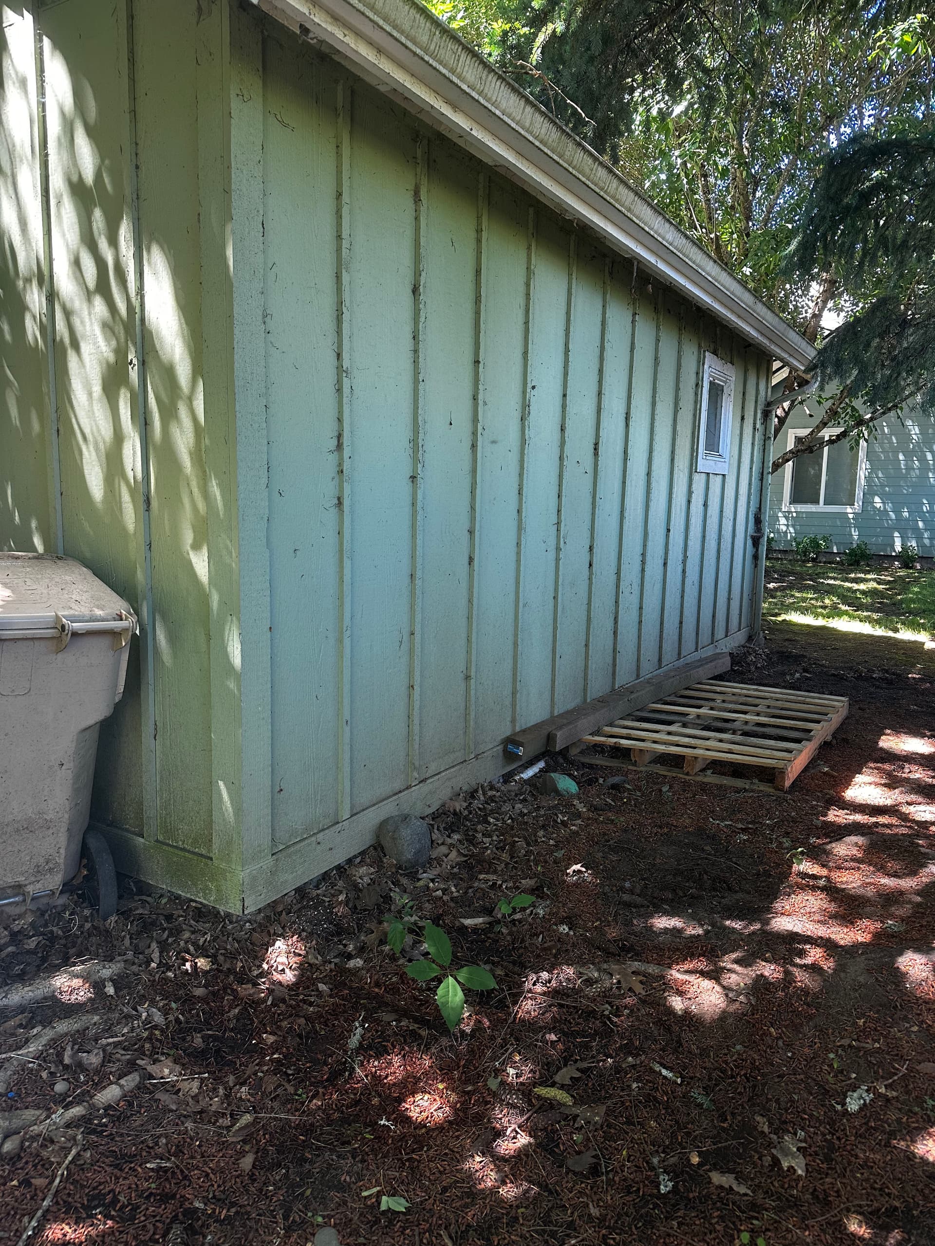 Gallery photos for Commercial Dumpster Area Cleanout Gone Full Circle: Image #6