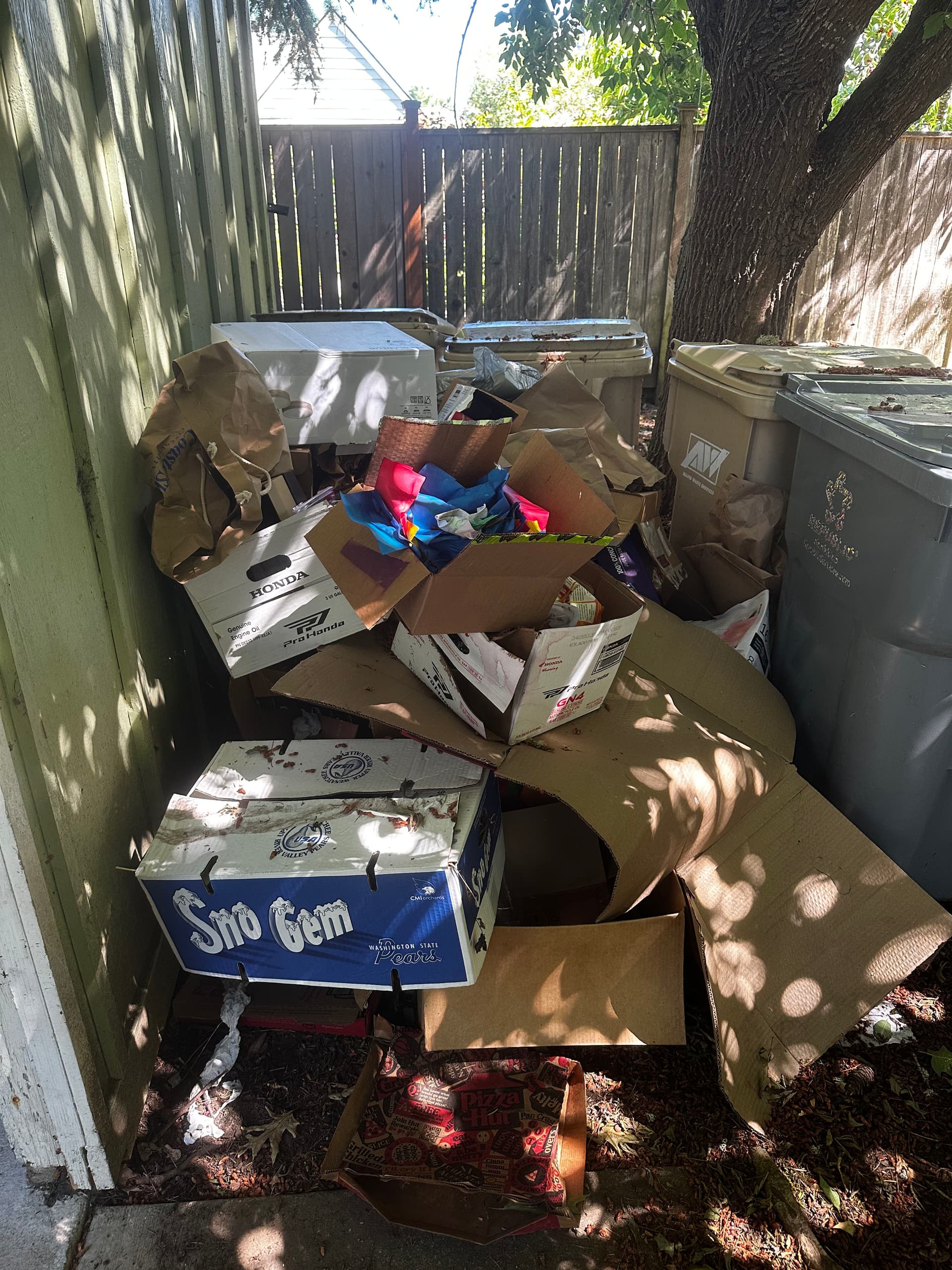 Gallery photos for Commercial Dumpster Area Cleanout Gone Full Circle: Image #1