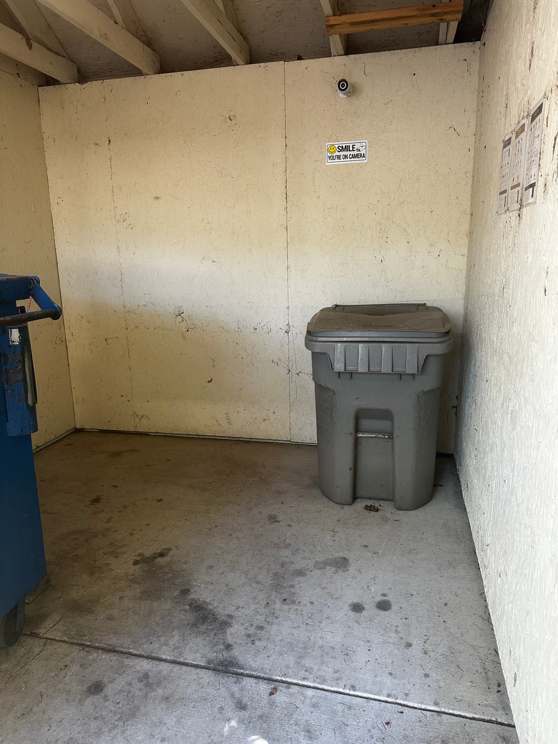 Gallery photos for Commercial Dumpster Area Cleanout Gone Full Circle: Image #4