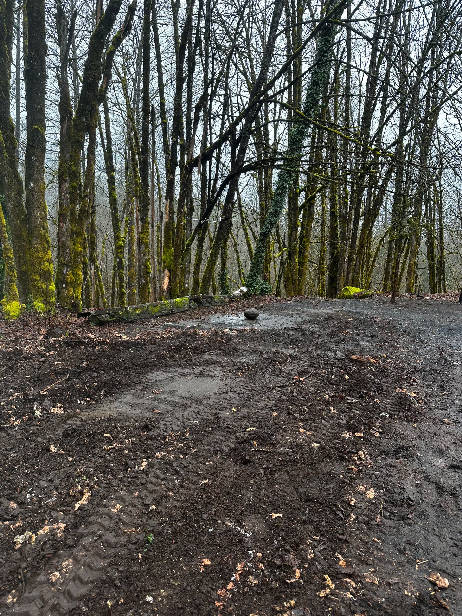 Gallery photos for Vacant Lot Cleanup in Idanha That Had a Few Surprises: Image #4