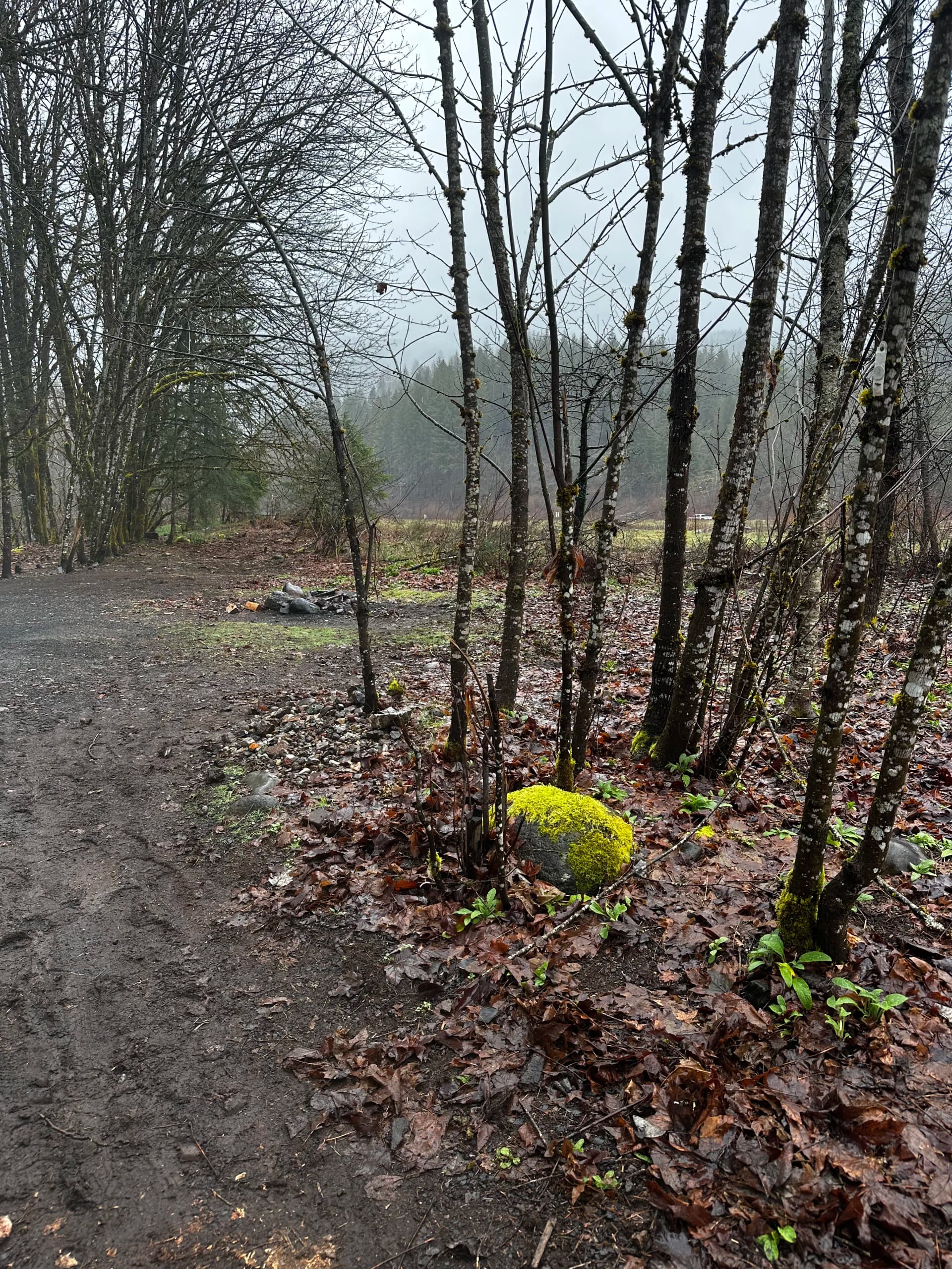 Gallery photos for Vacant Lot Cleanup in Idanha That Had a Few Surprises: Image #2