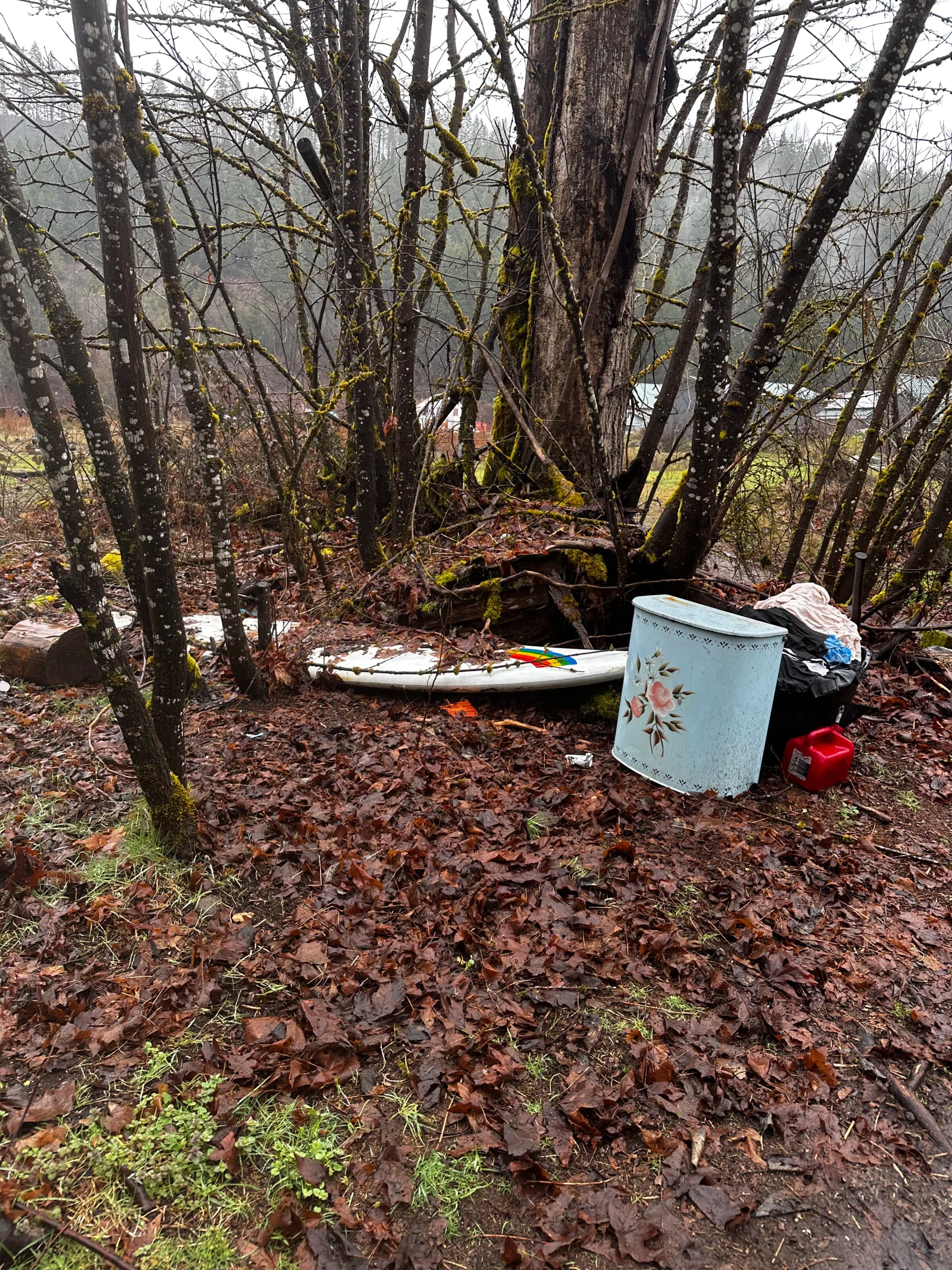 Gallery photos for Vacant Lot Cleanup in Idanha That Had a Few Surprises: Image #7