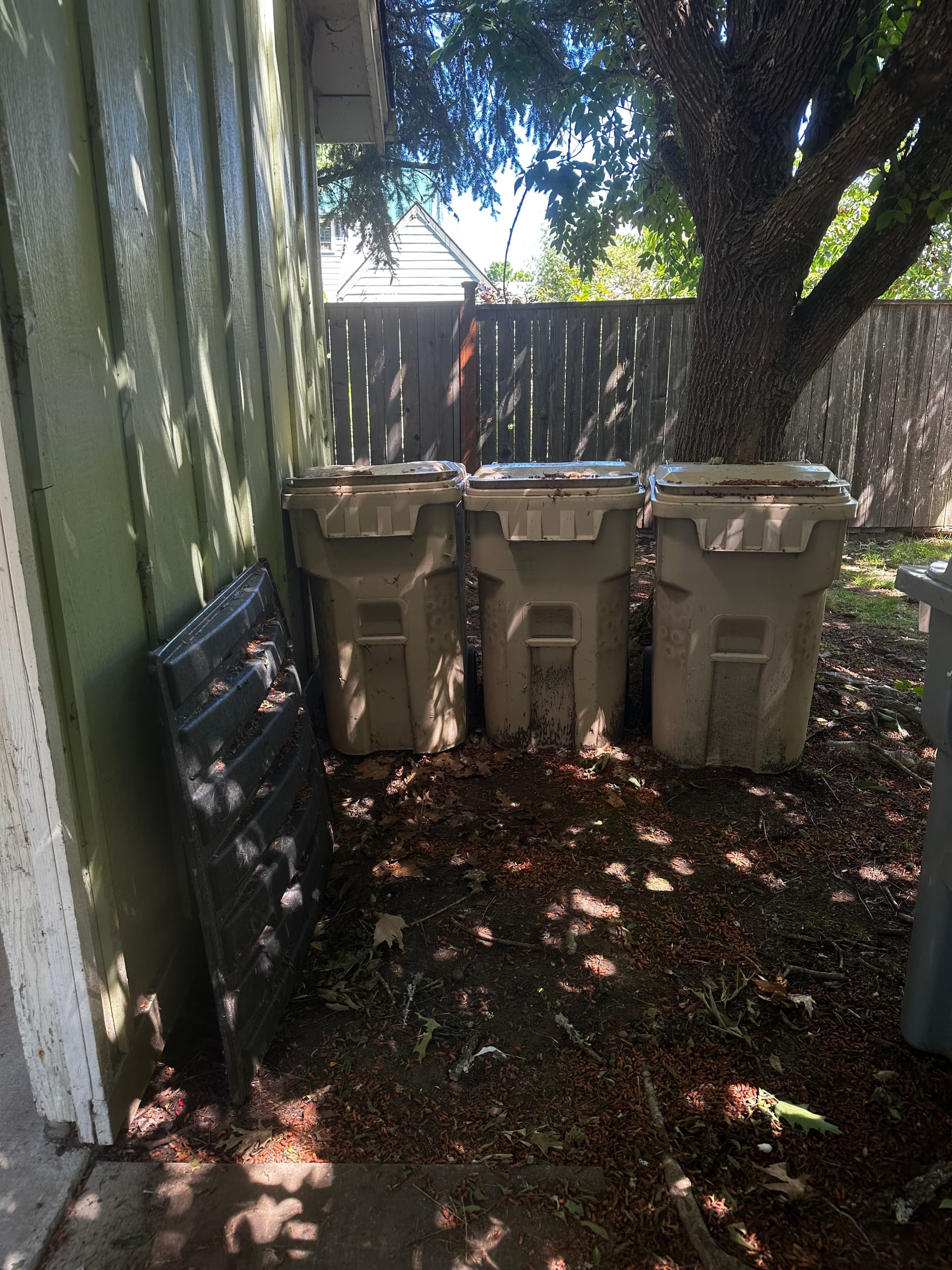 Gallery photos for Commercial Dumpster Area Cleanout Gone Full Circle: Image #2