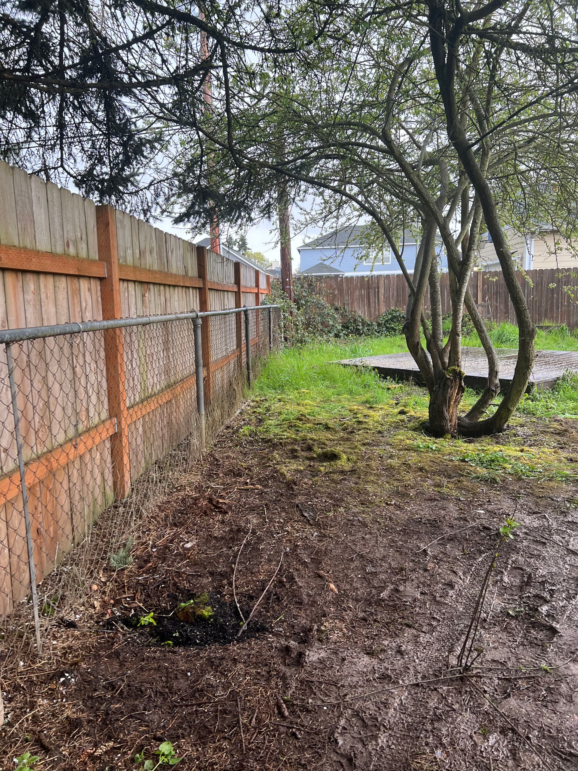 Gallery photos for Backyard Debris Removal and Cleanup in Junction City: Image #1