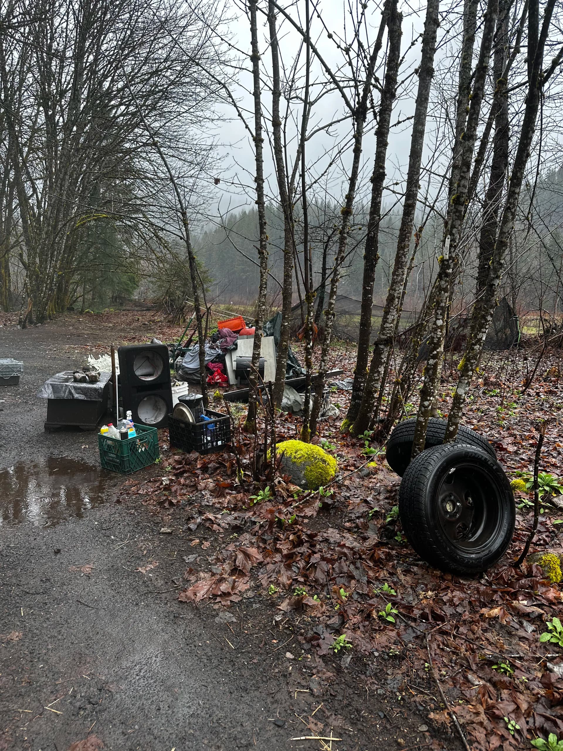 Gallery photos for Vacant Lot Cleanup in Idanha That Had a Few Surprises: Image #1