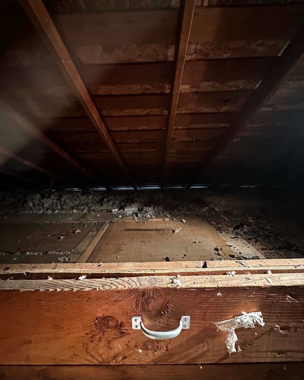 Gallery photos for Packed Attic Cleanout for a Repeat Client in Stayton: Image #5