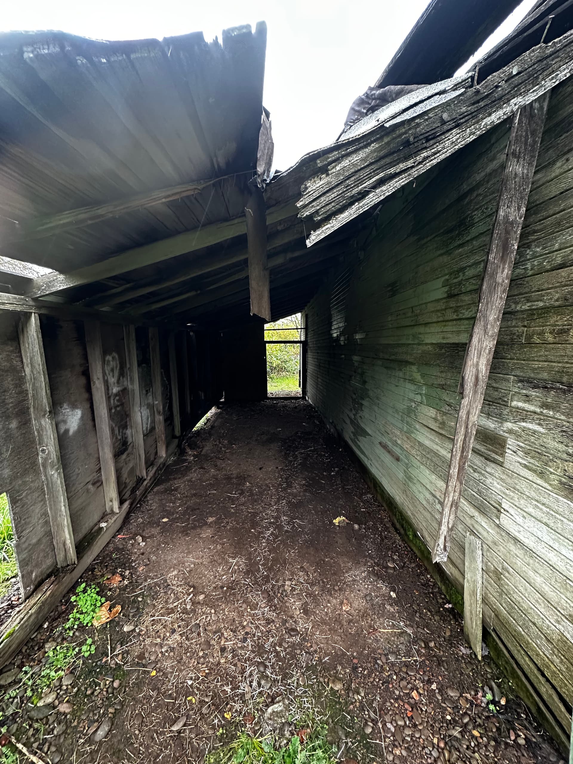 Gallery photos for Multi-Building Estate Cleanout in Junction City: Image #3