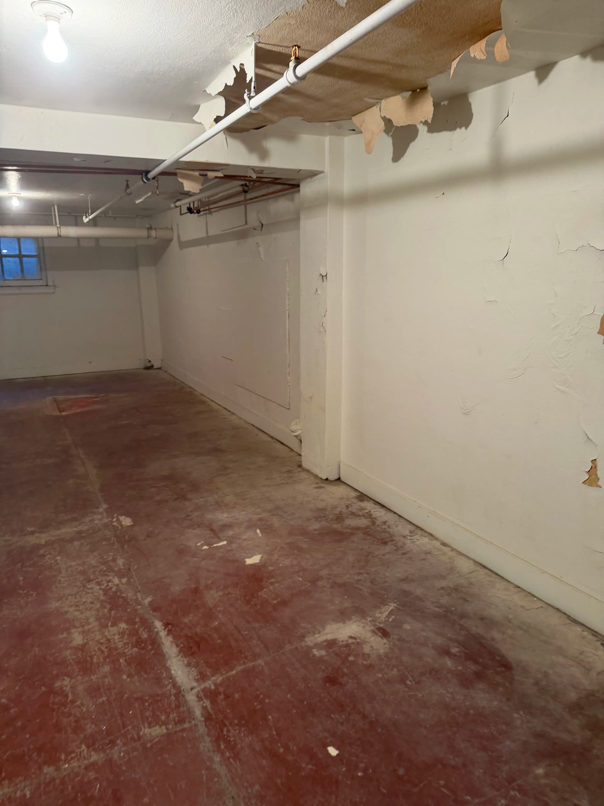 Gallery photos for Basement Storage Cleanout for a Corvallis Business After an Office Move: Image #1