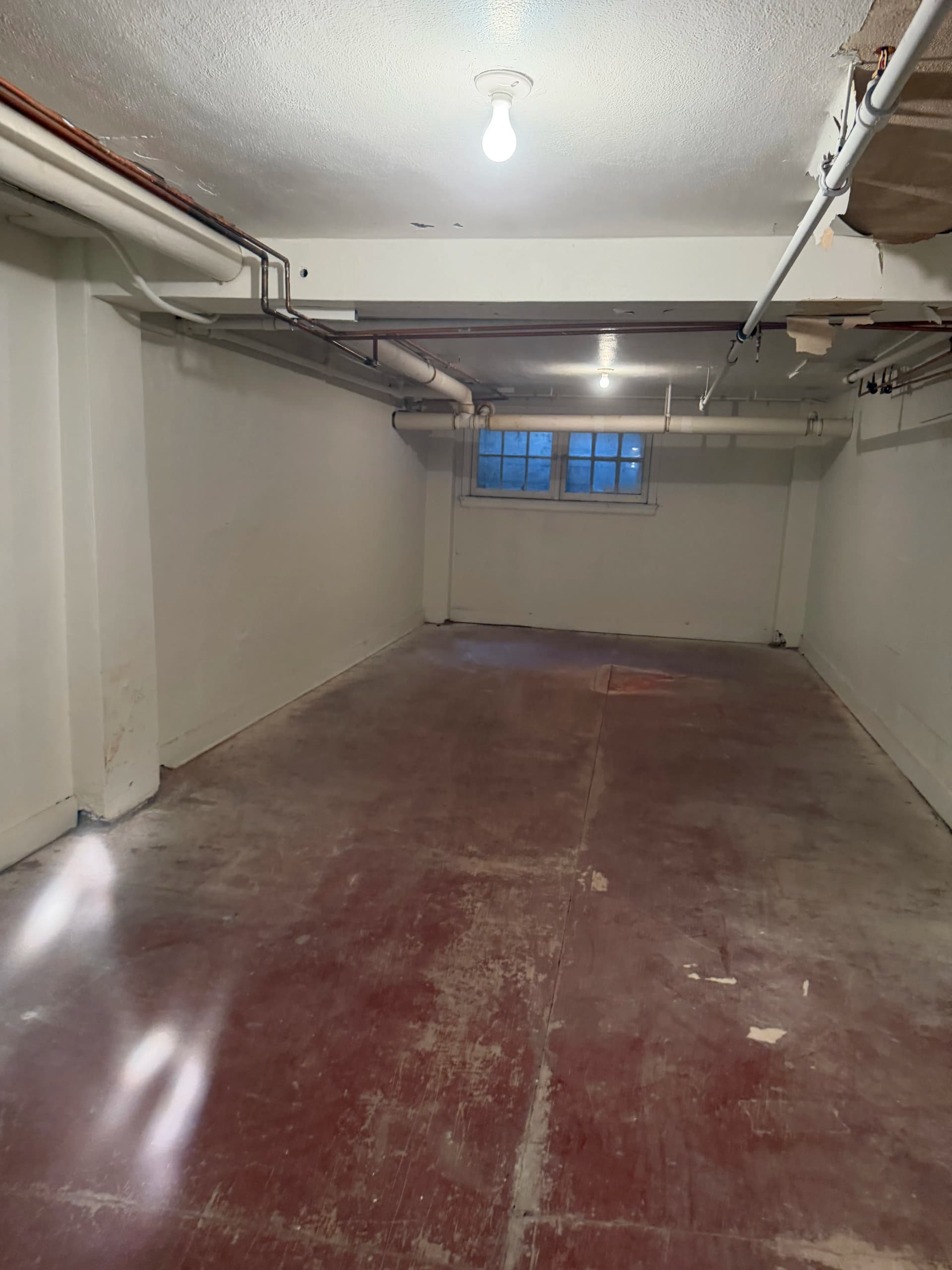 Gallery photos for Basement Storage Cleanout for a Corvallis Business After an Office Move: Image #3
