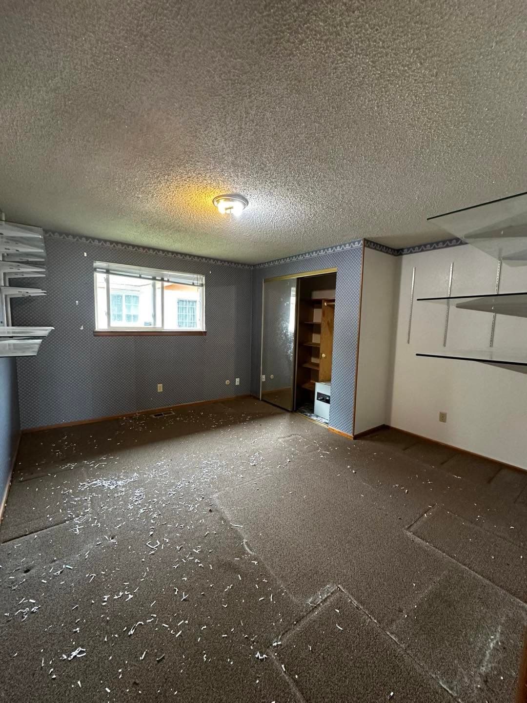 Empty room with carpeted floor, shelves on walls, and a single window.