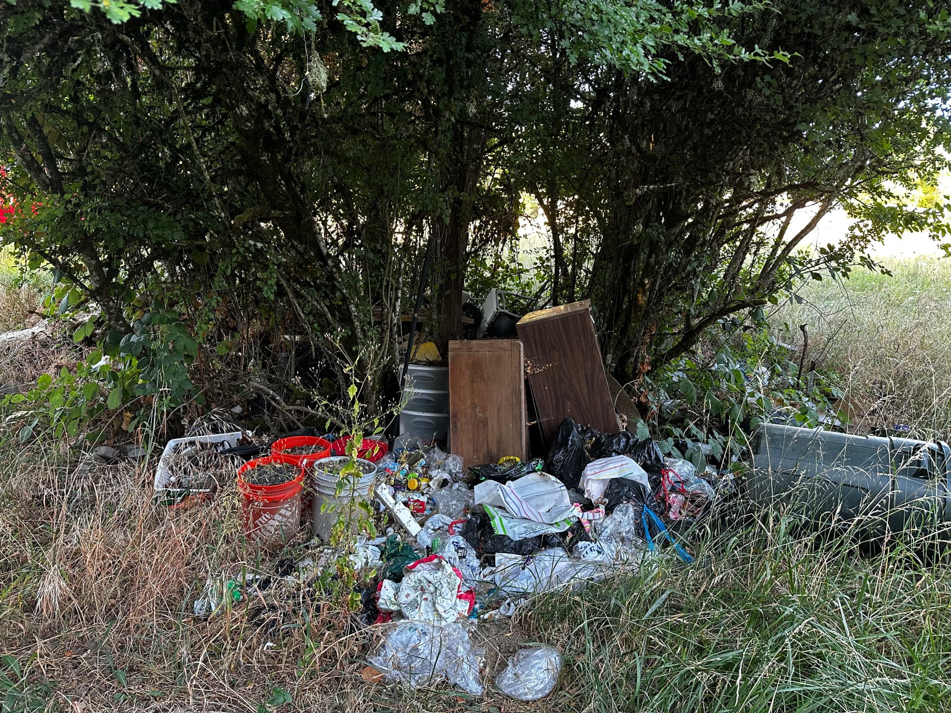 Vacant Property Debris Cleanup in Corvallis image