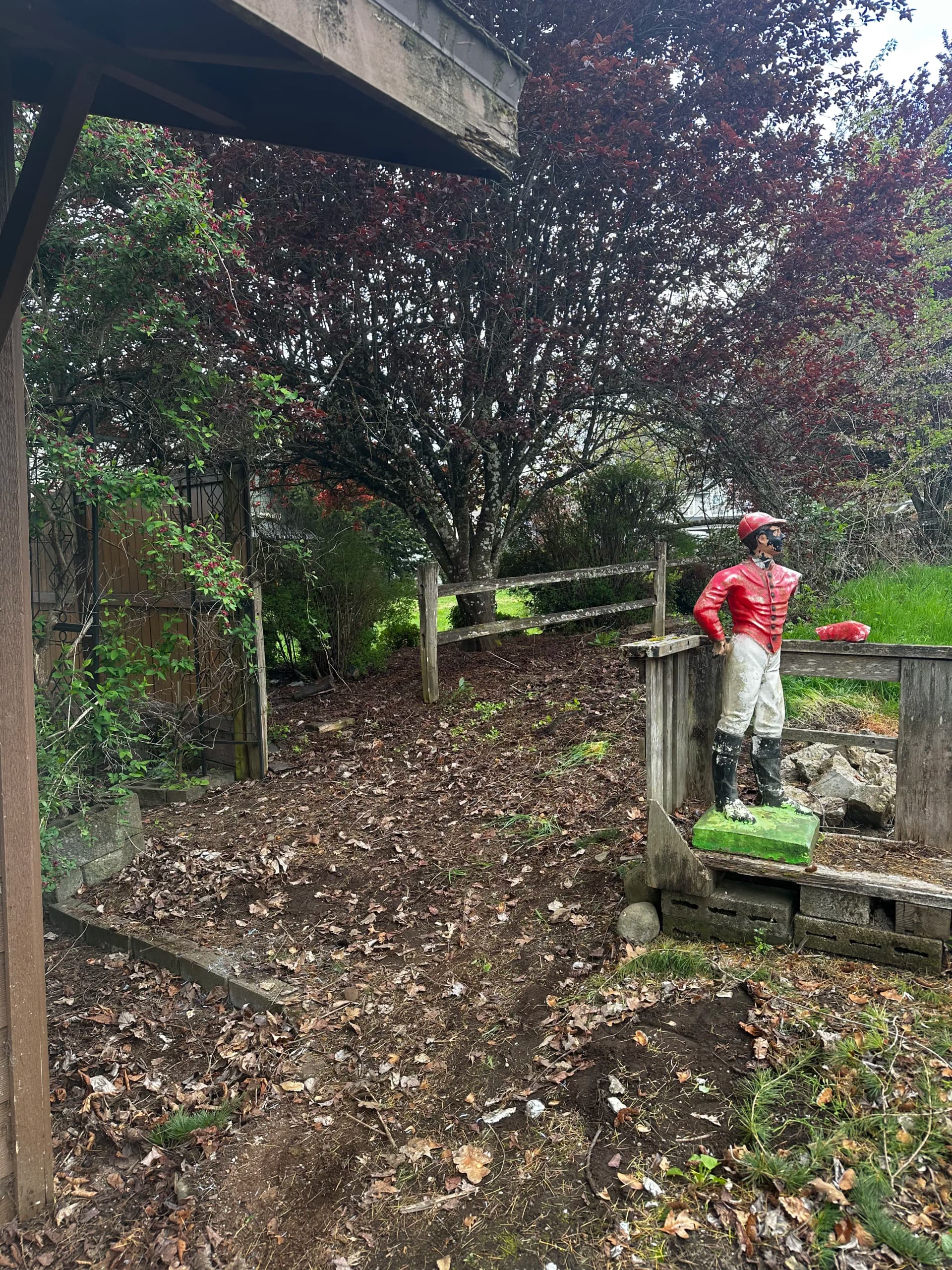 Gallery photos for Yard and Shed Cleanout That Lifted More Than Just Clutter: Image #4