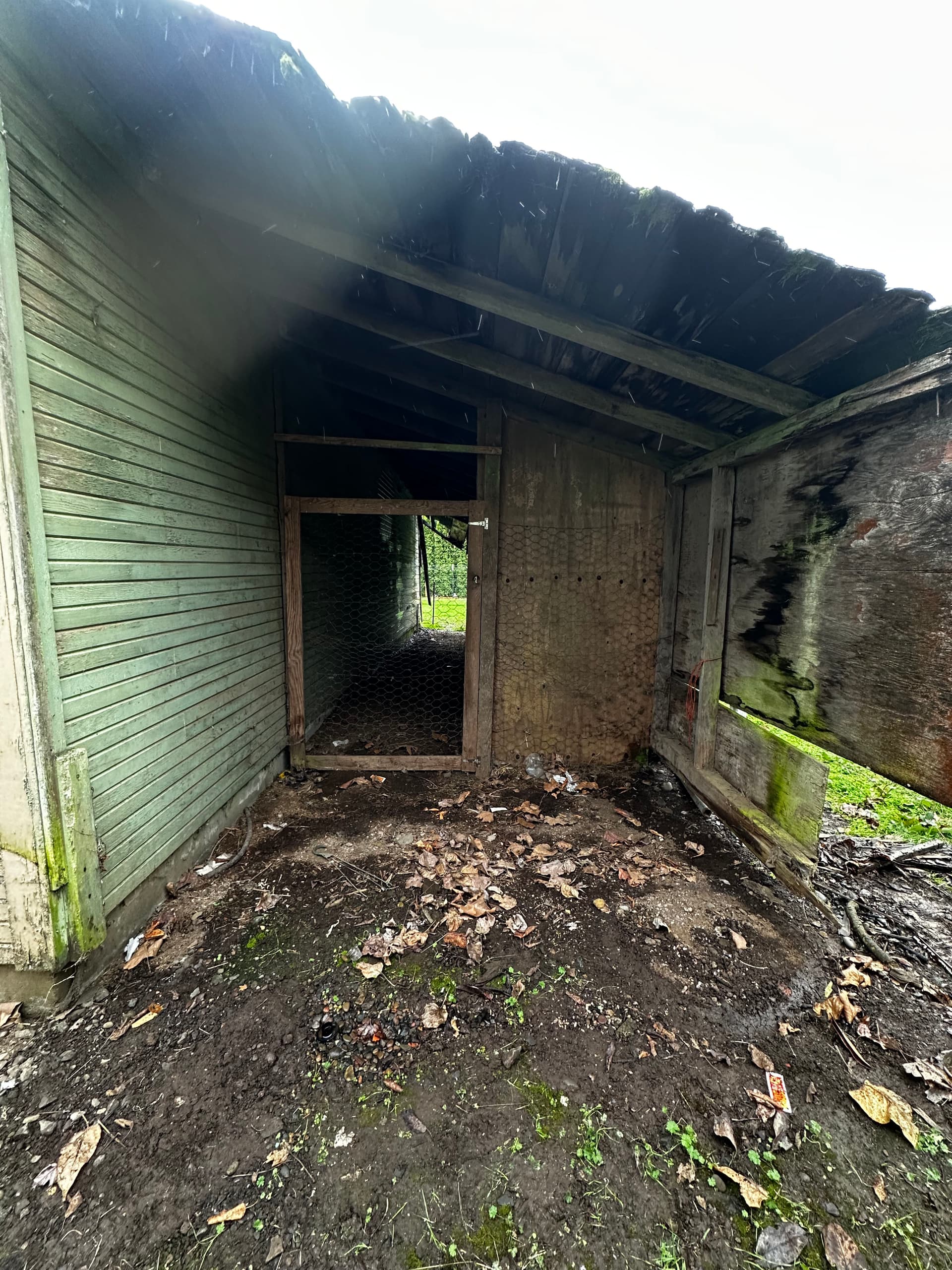 Gallery photos for Multi-Building Estate Cleanout in Junction City: Image #1