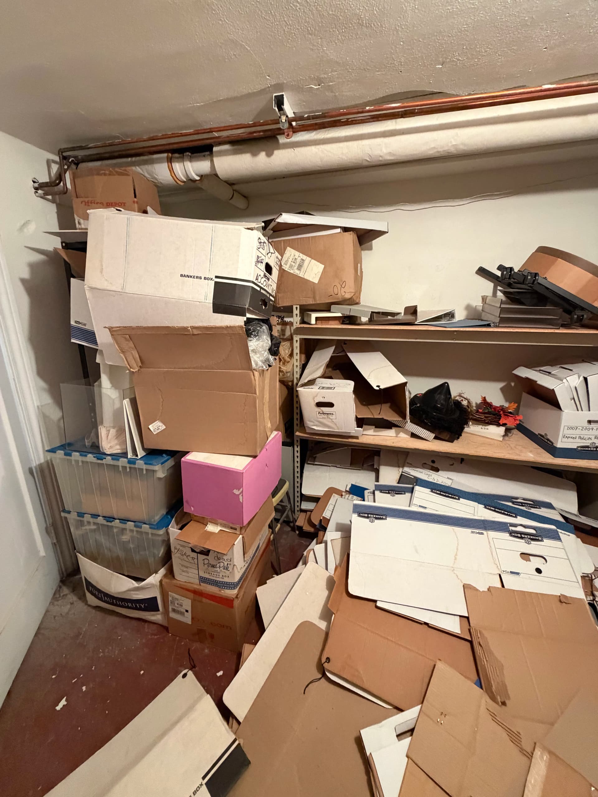 Gallery photos for Basement Storage Cleanout for a Corvallis Business After an Office Move: Image #4