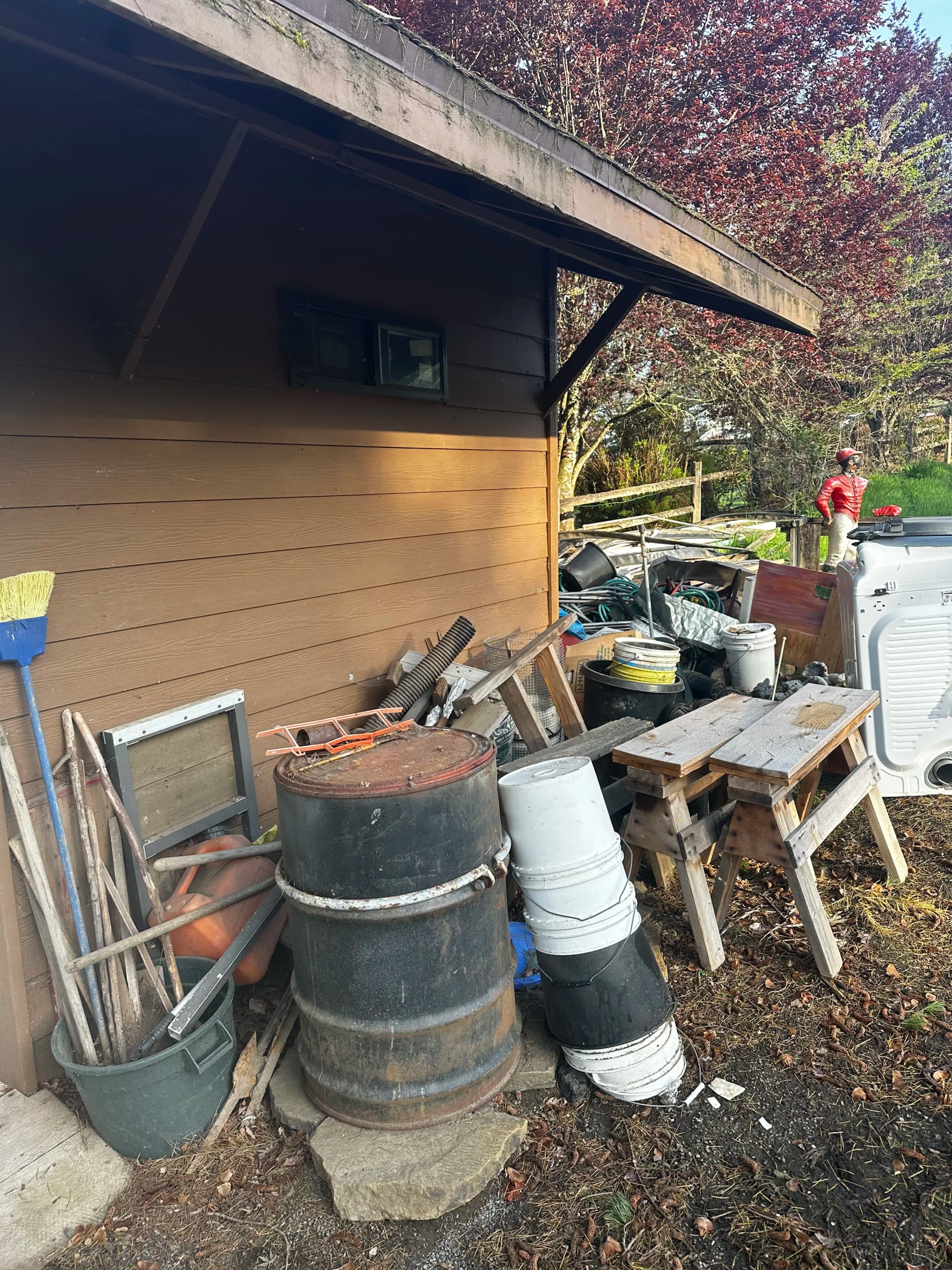 Gallery photos for Yard and Shed Cleanout That Lifted More Than Just Clutter: Image #1