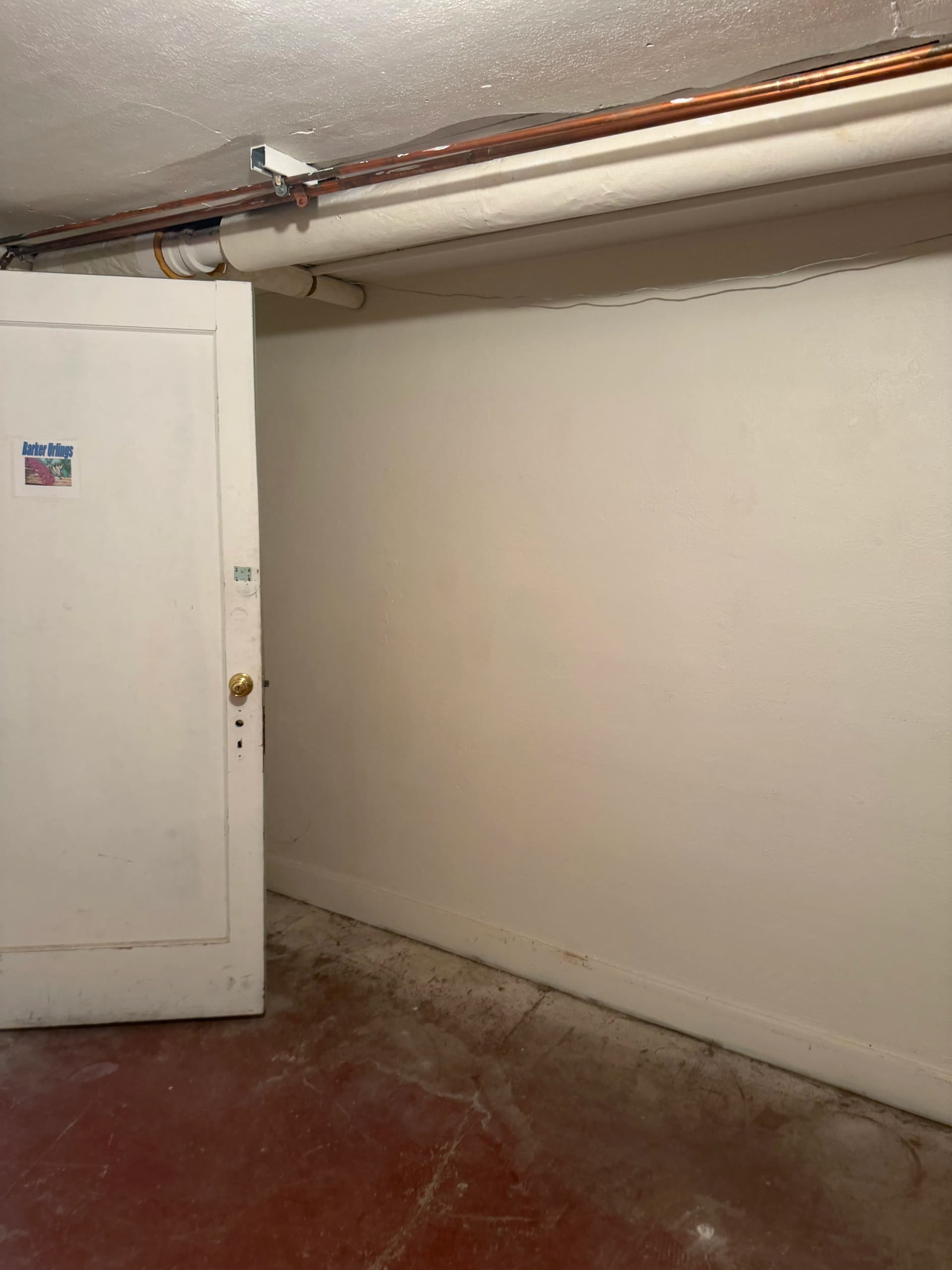 Gallery photos for Basement Storage Cleanout for a Corvallis Business After an Office Move: Image #5