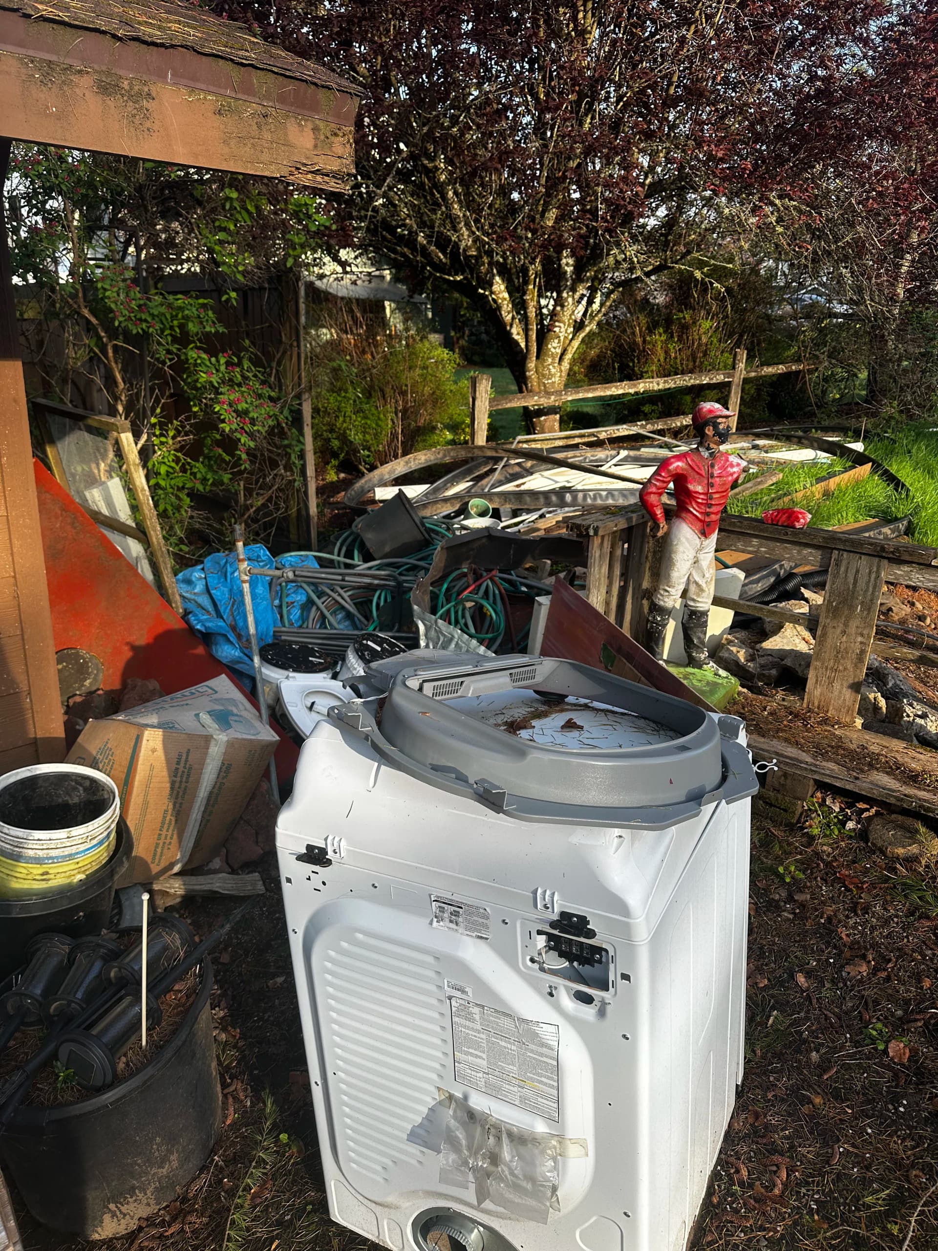 Gallery photos for Yard and Shed Cleanout That Lifted More Than Just Clutter: Image #3