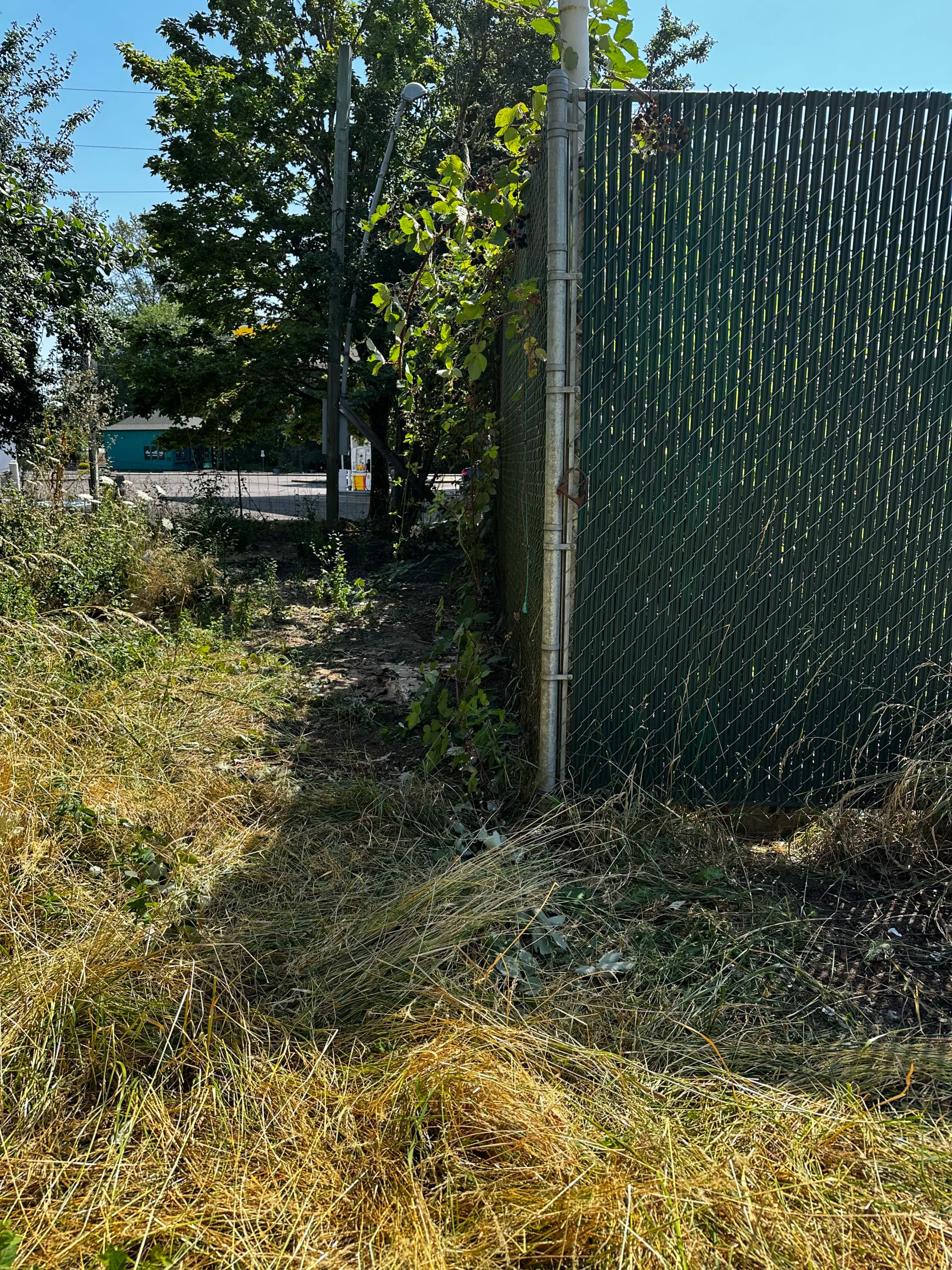 Gallery photos for Vacant Property Debris Cleanup in Corvallis: Image #5