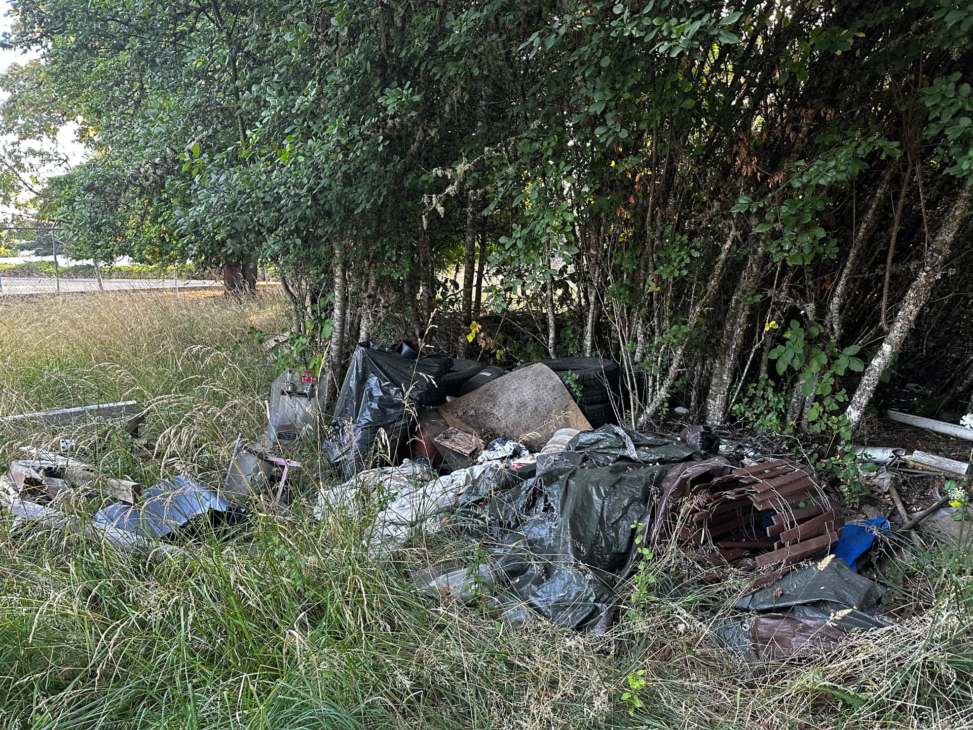 Gallery photos for Vacant Property Debris Cleanup in Corvallis: Image #2