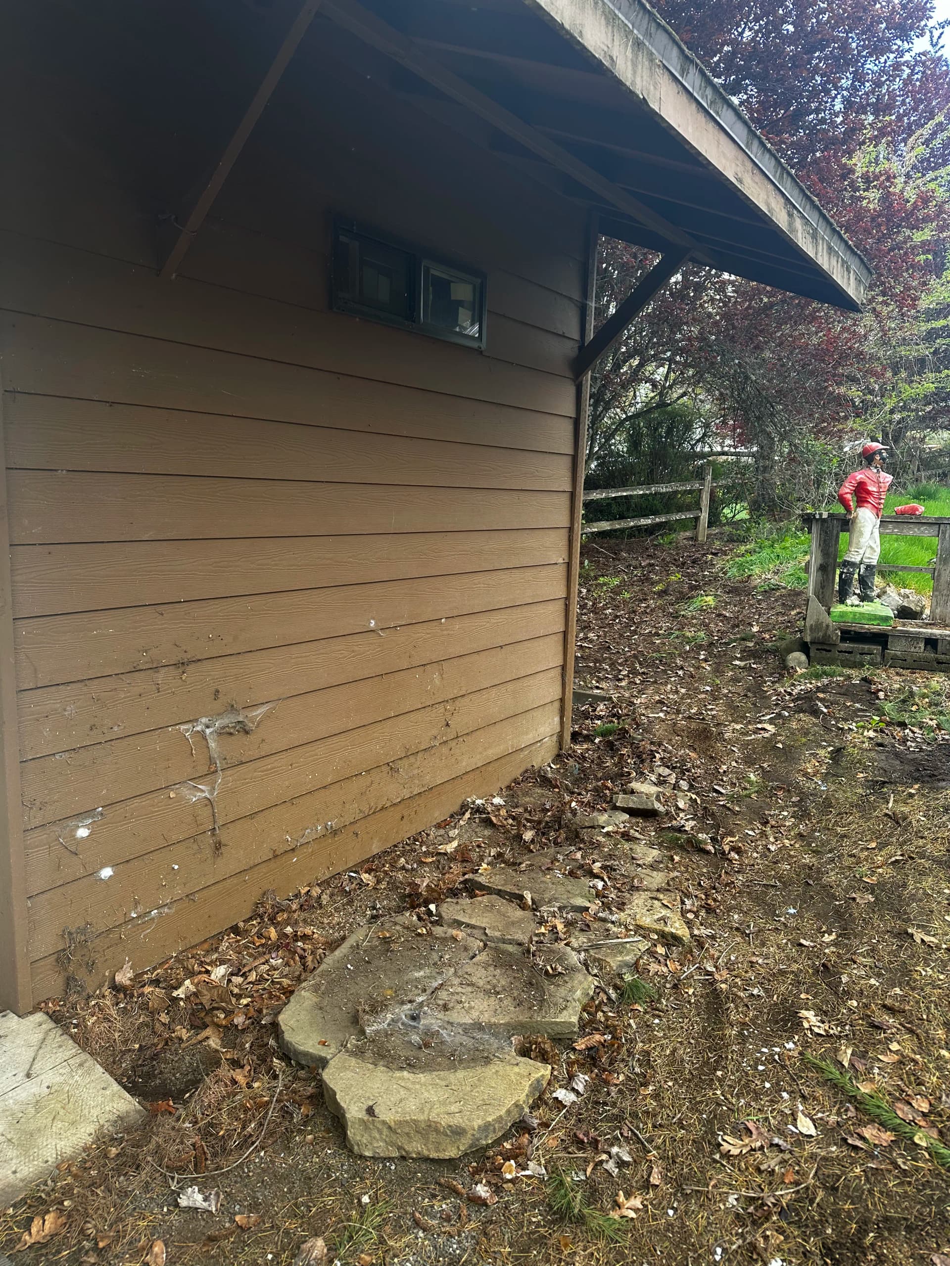 Gallery photos for Yard and Shed Cleanout That Lifted More Than Just Clutter: Image #2
