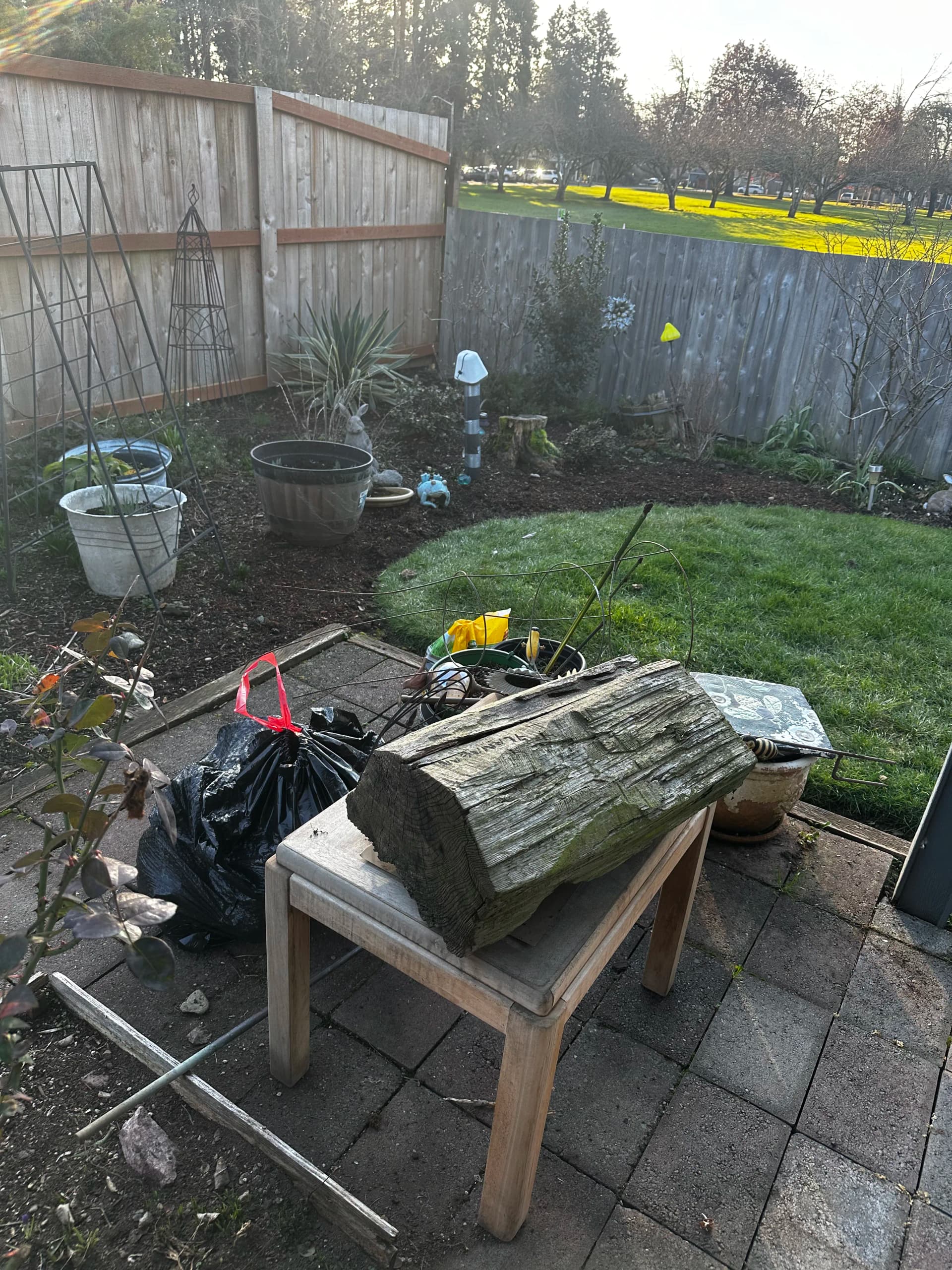 Backyard Cleanup and Debris Removal in Stayton image