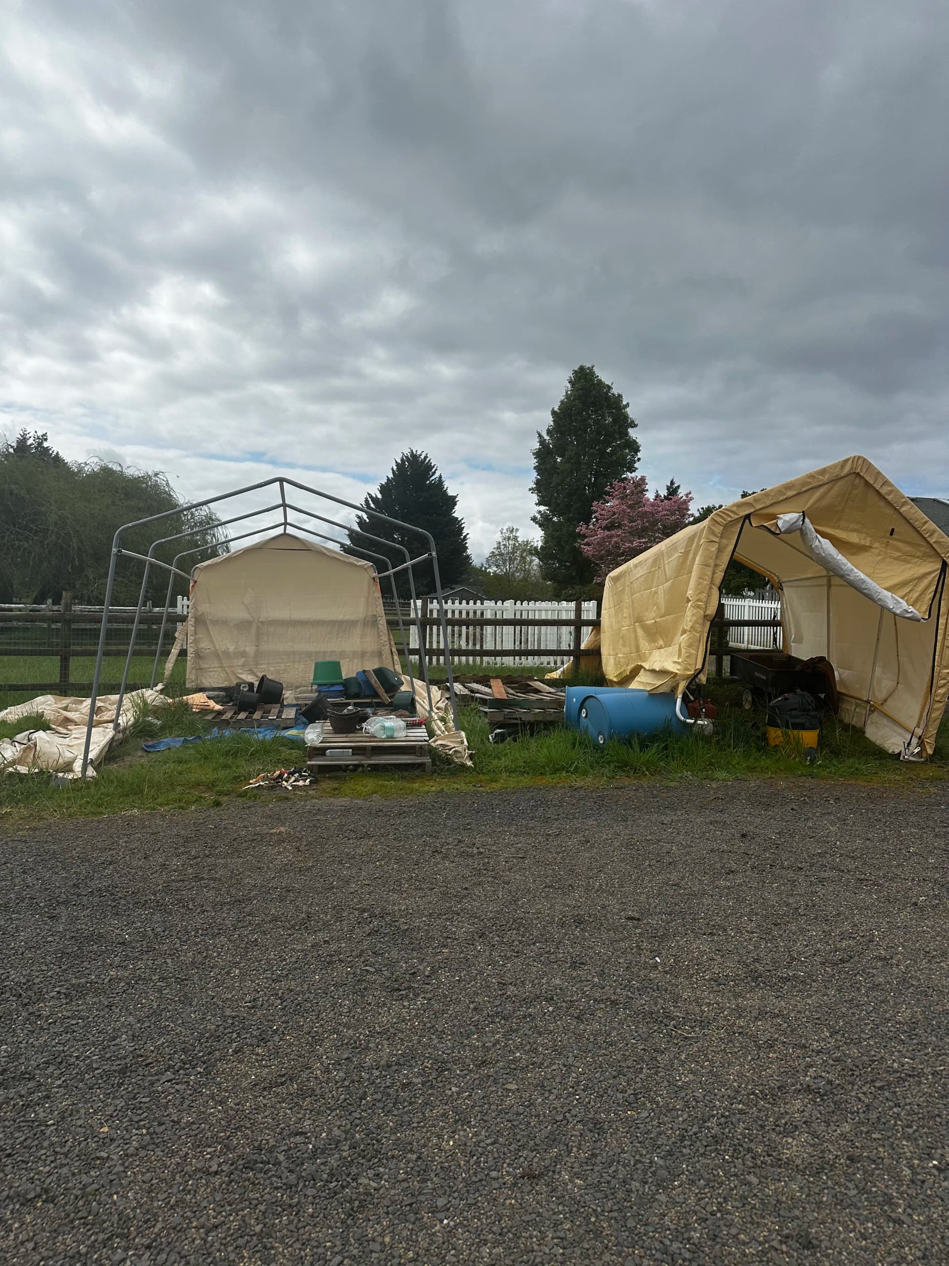 Gallery photos for Eugene Property Cleanout Clears the Way for a Sale: Image #1