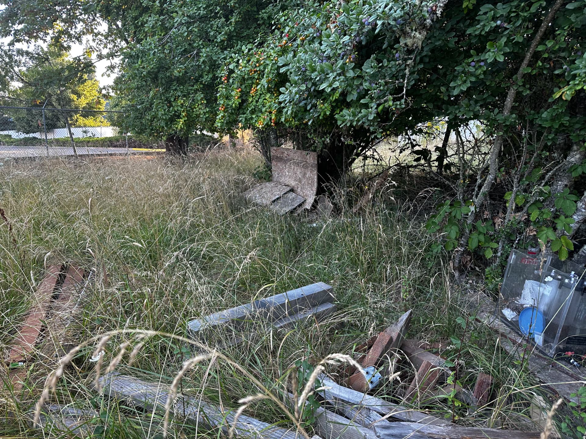 Gallery photos for Vacant Property Debris Cleanup in Corvallis: Image #8