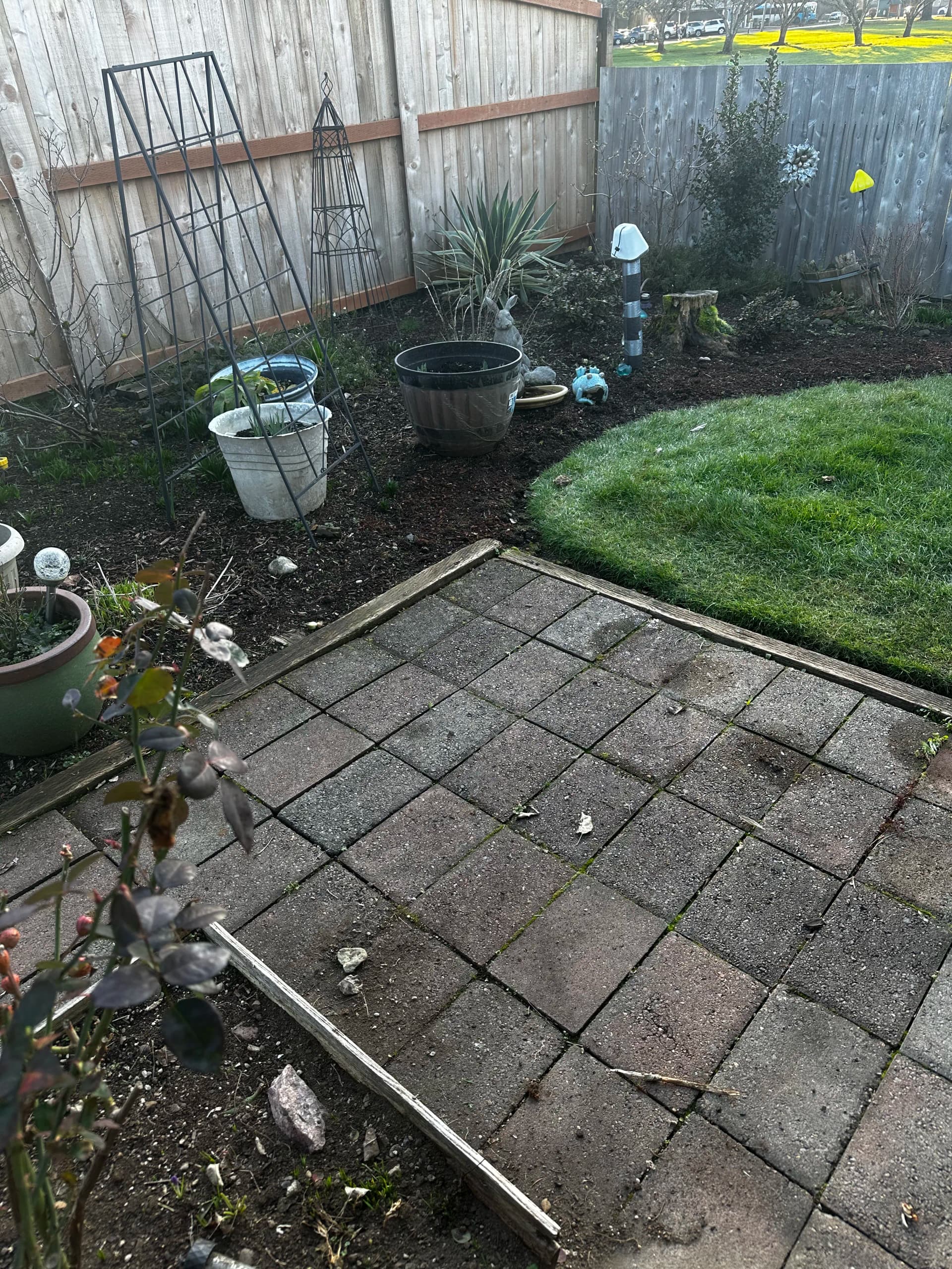 Gallery photos for Backyard Cleanup and Debris Removal in Stayton: Image #1