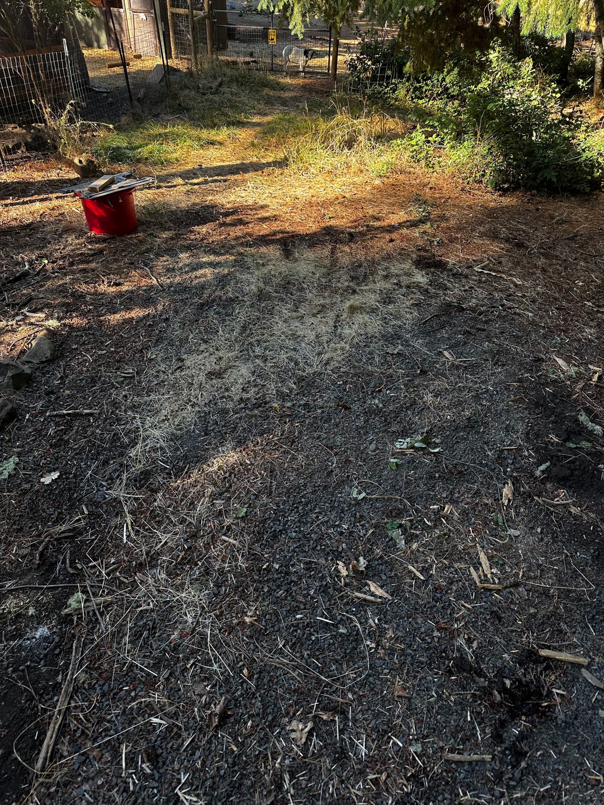 Gallery photos for Sweet Home Property Cleanup That Filled an Entire Trailer: Image #1