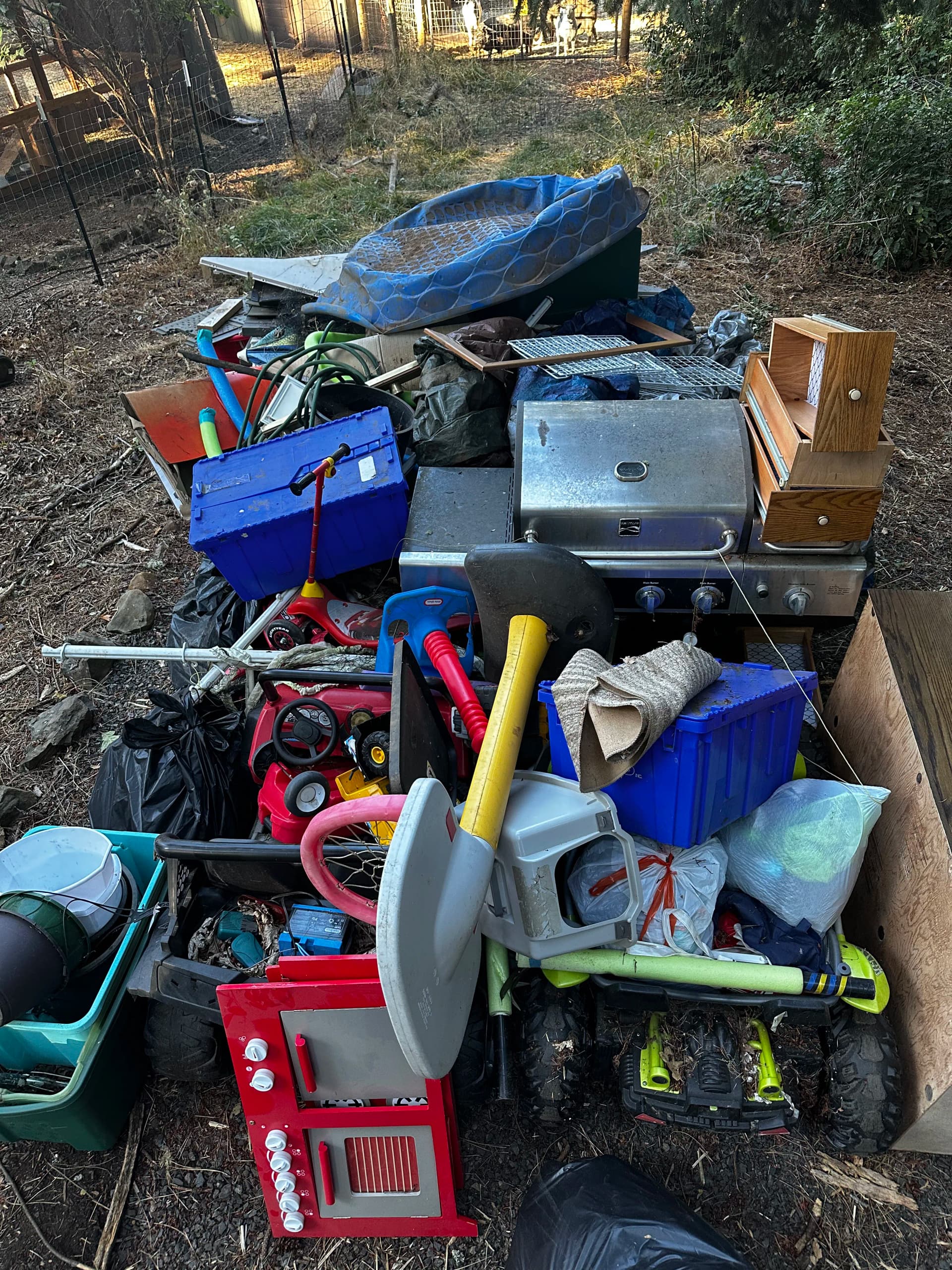 Sweet Home Property Cleanup That Filled an Entire Trailer image
