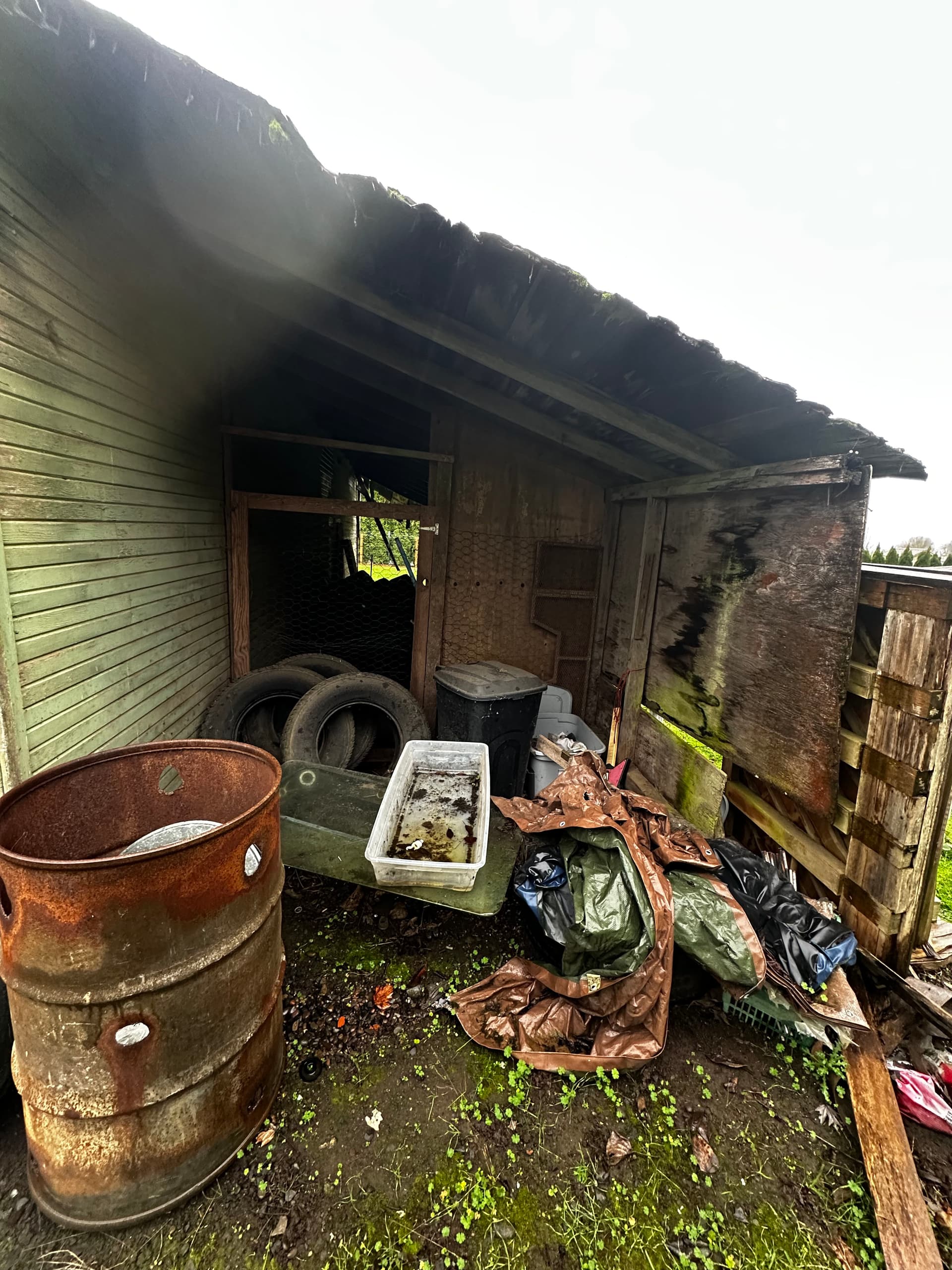 Multi-Building Estate Cleanout in Junction City image