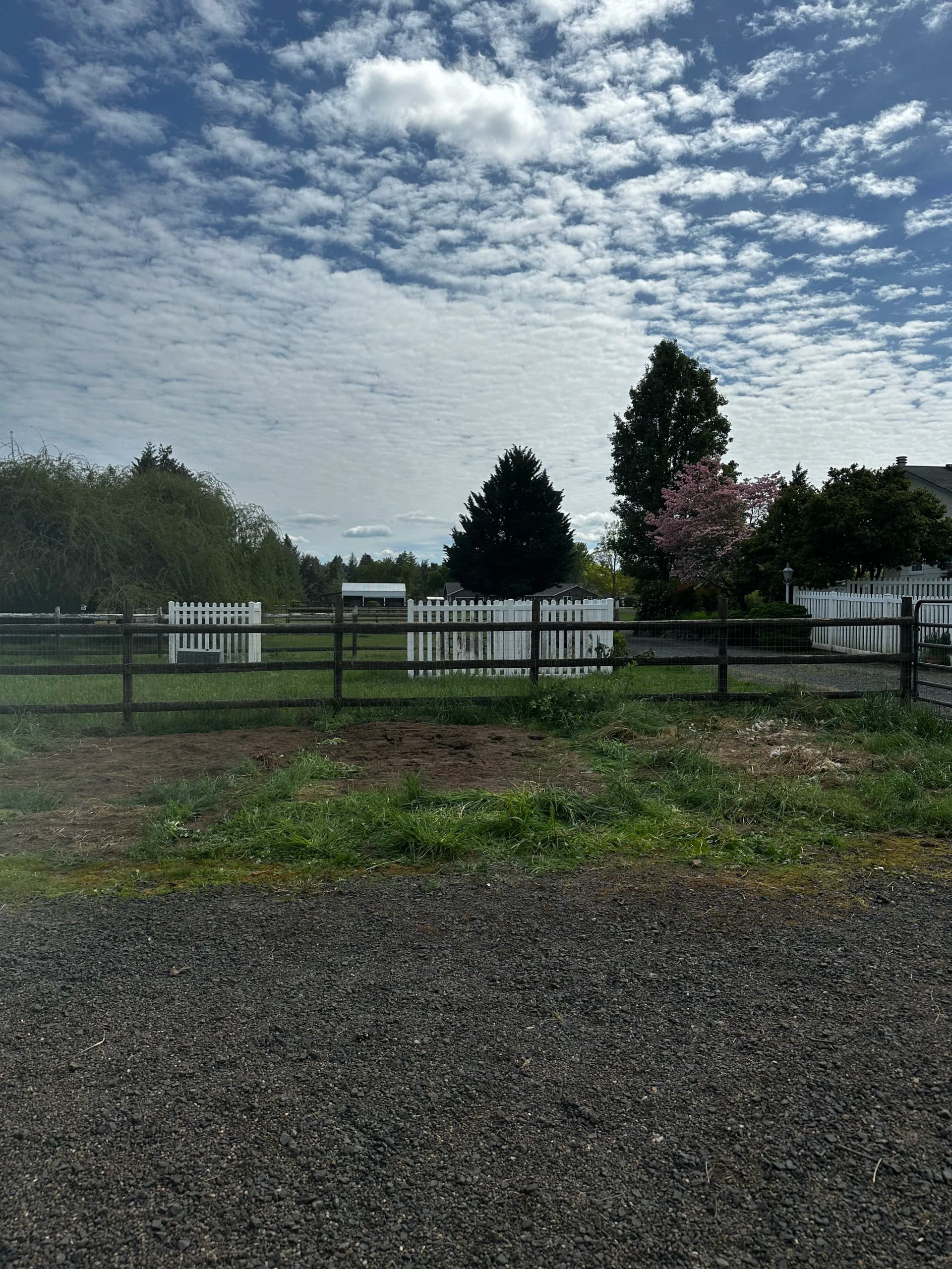 Gallery photos for Eugene Property Cleanout Clears the Way for a Sale: Image #2